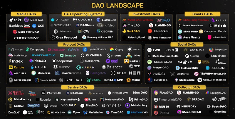 Các đồng coin hệ DAO tiềm năng. Hệ sinh thái DAO