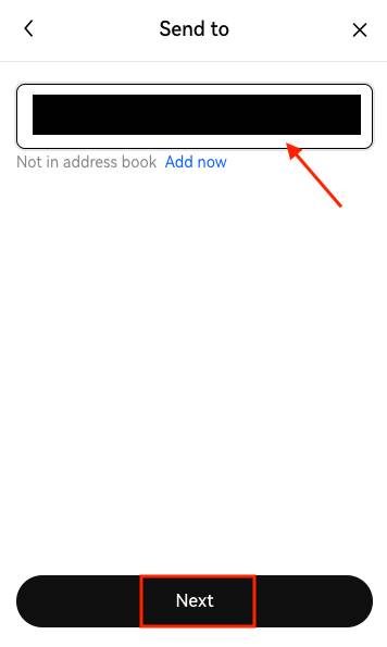 Bước 3: Nhập địa chỉ ví bạn muốn chuyển tiền và chọn “Next”.