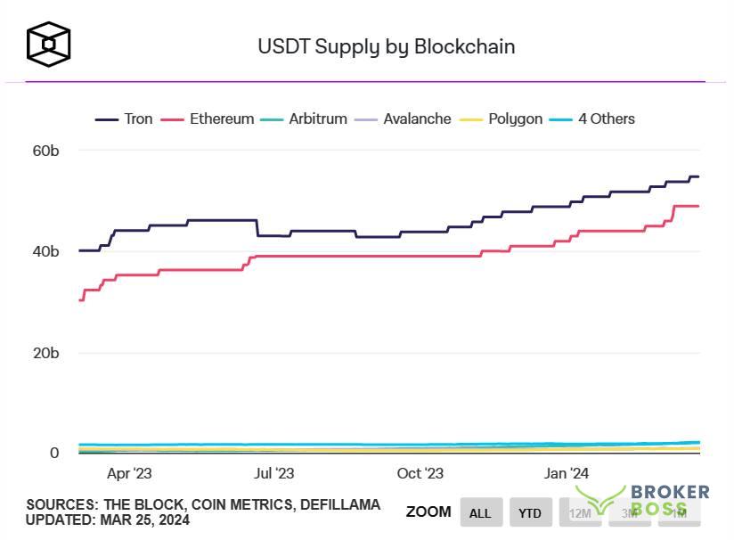 Phân bổ nguồn cung USDT trên một số blockchain hàng đầu. Nguồn: The Block