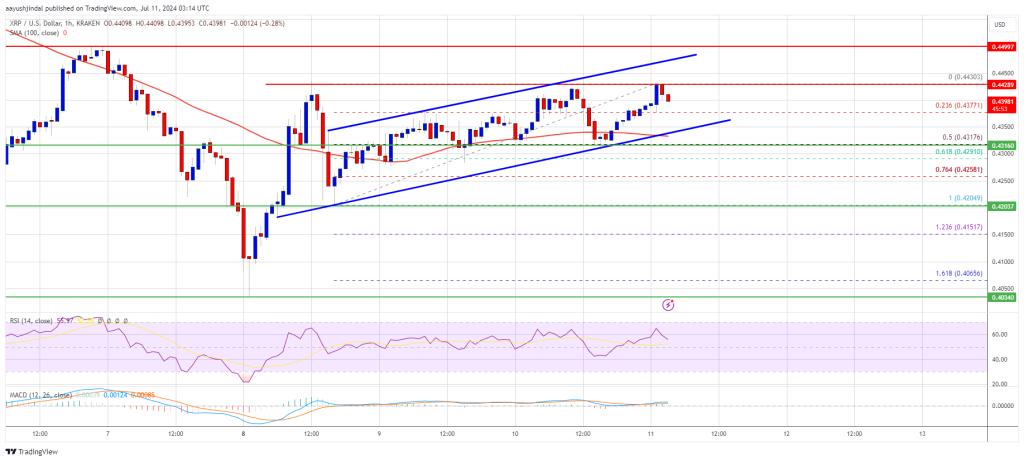 Giá XRP Đang Trên Đà Tăng Trừ Khi Mức Hỗ Trợ Này Bị Phá Vỡ